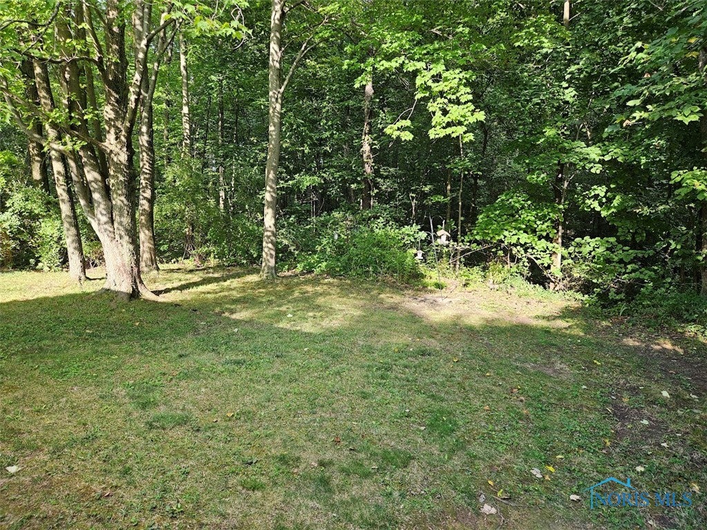 10663 Rosebrook Road Defiance, OH 43512 - Photo 37 of 48 Gallery Image 37