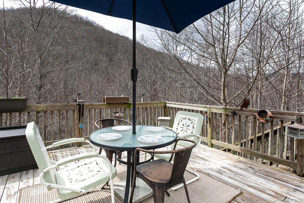 145 Saw Branch Road Candler, NC 28715 - Photo 5 of 26 Gallery Image 5