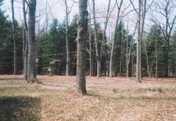 5073 North High Bridge Road Brethren, MI 49619 - Photo 3 of 7 Additional Photo