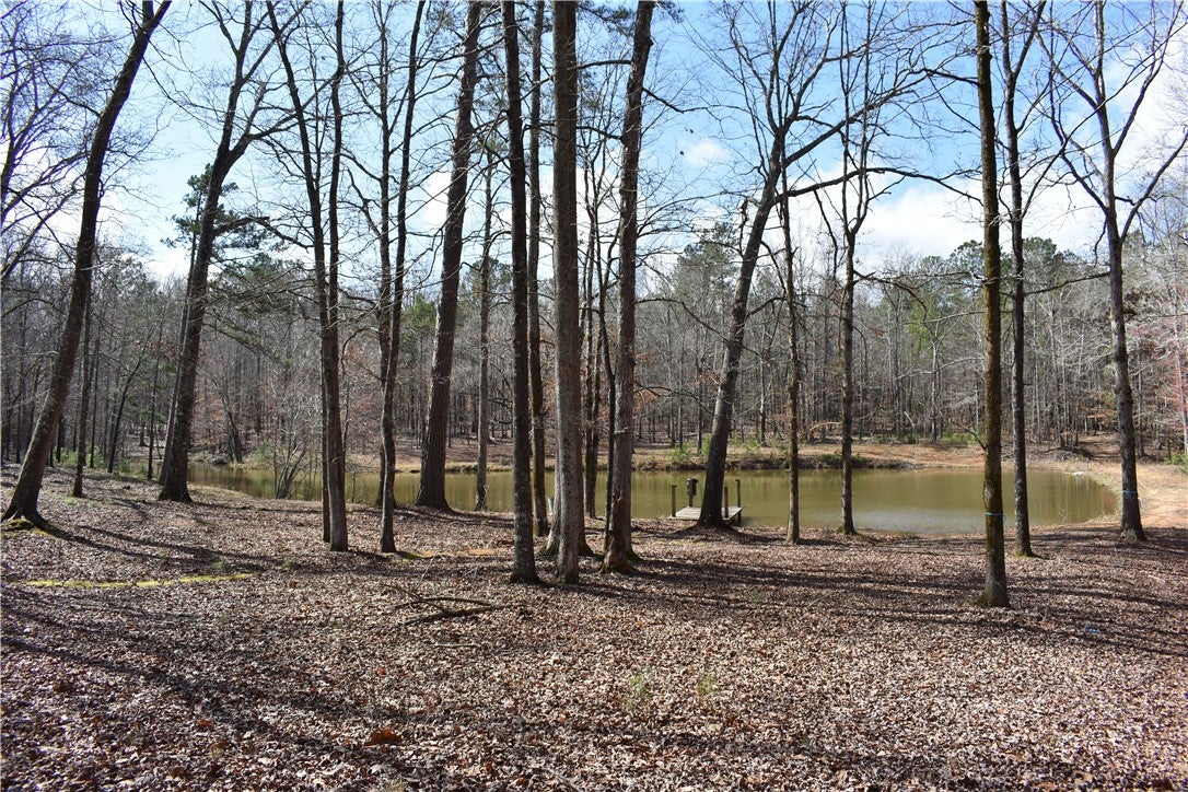 1500 Chewacla Road Opelika, AL 36804 - Photo 6 of 13 Gallery Image 6