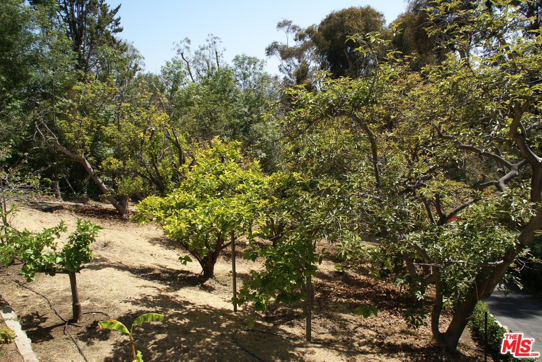 3560 Serra Road Malibu, CA 90265 - Photo 22 of 22 Gallery Image 22