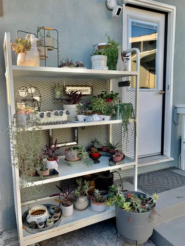 a room with lots of different kinds of food