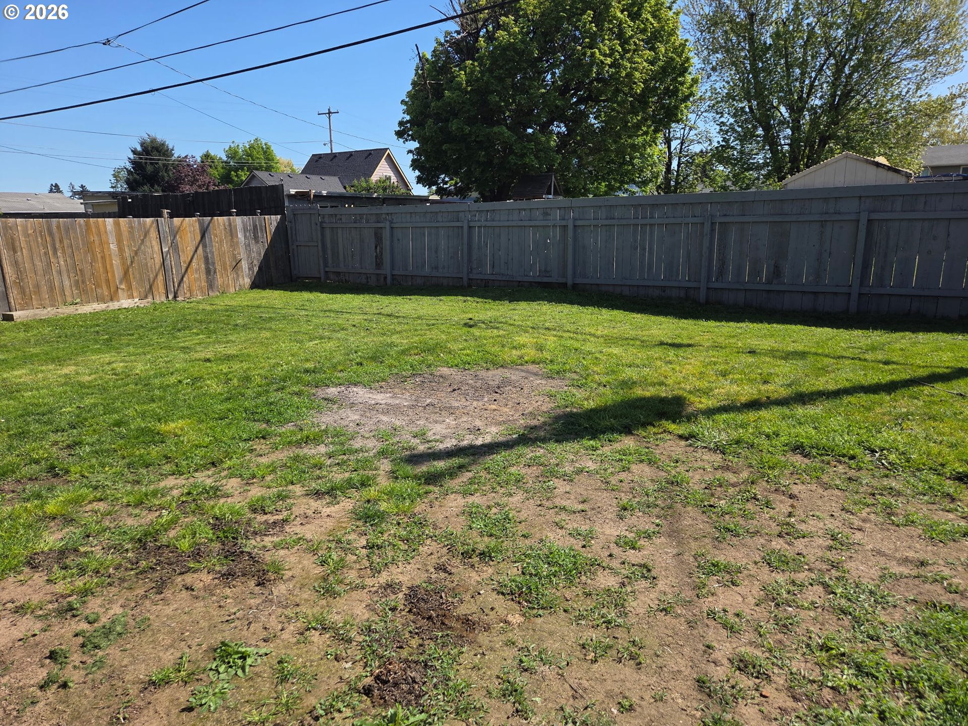 770 Elm Street Junction City, OR 97448 - Photo 30 of 30 a view of backyard with wooden fence