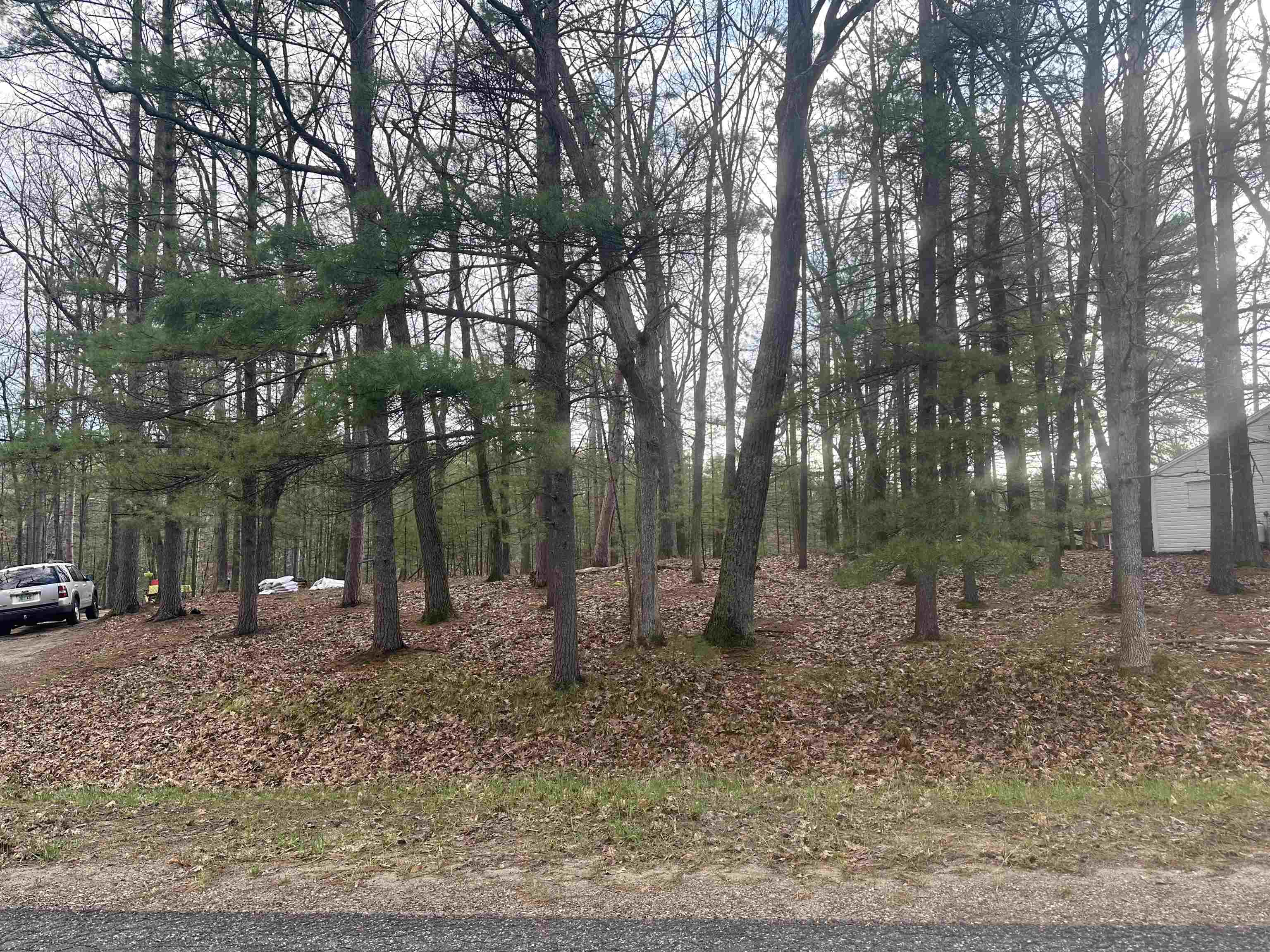 0 Weber Road Traverse City, MI 49686 - Photo 4 of 5