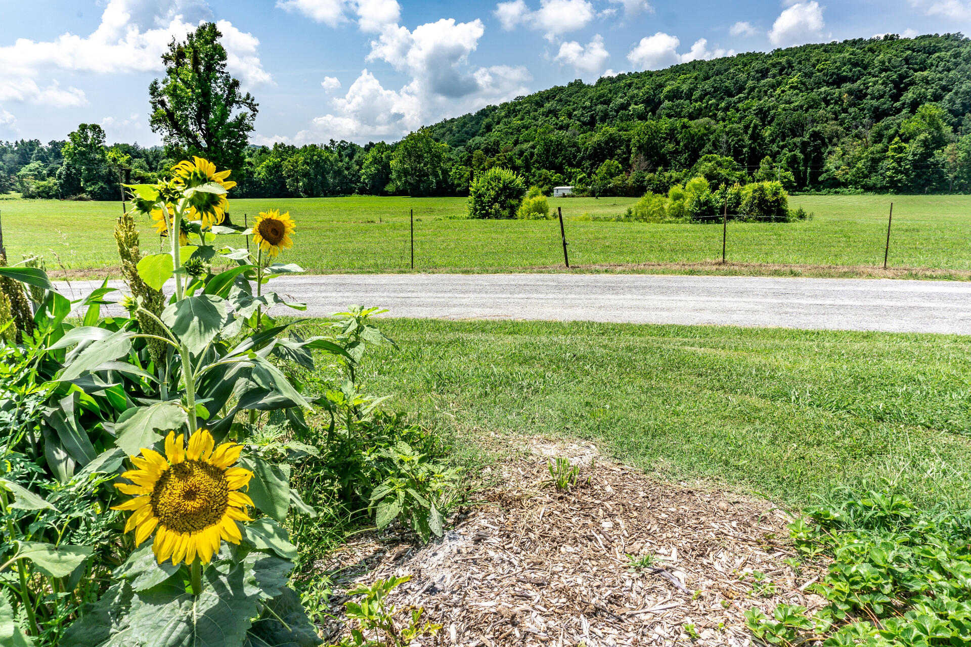 0 Lawing Road, Unit 1 Chuckey, TN 37641 - Photo 50 of 55 625LawingC_055