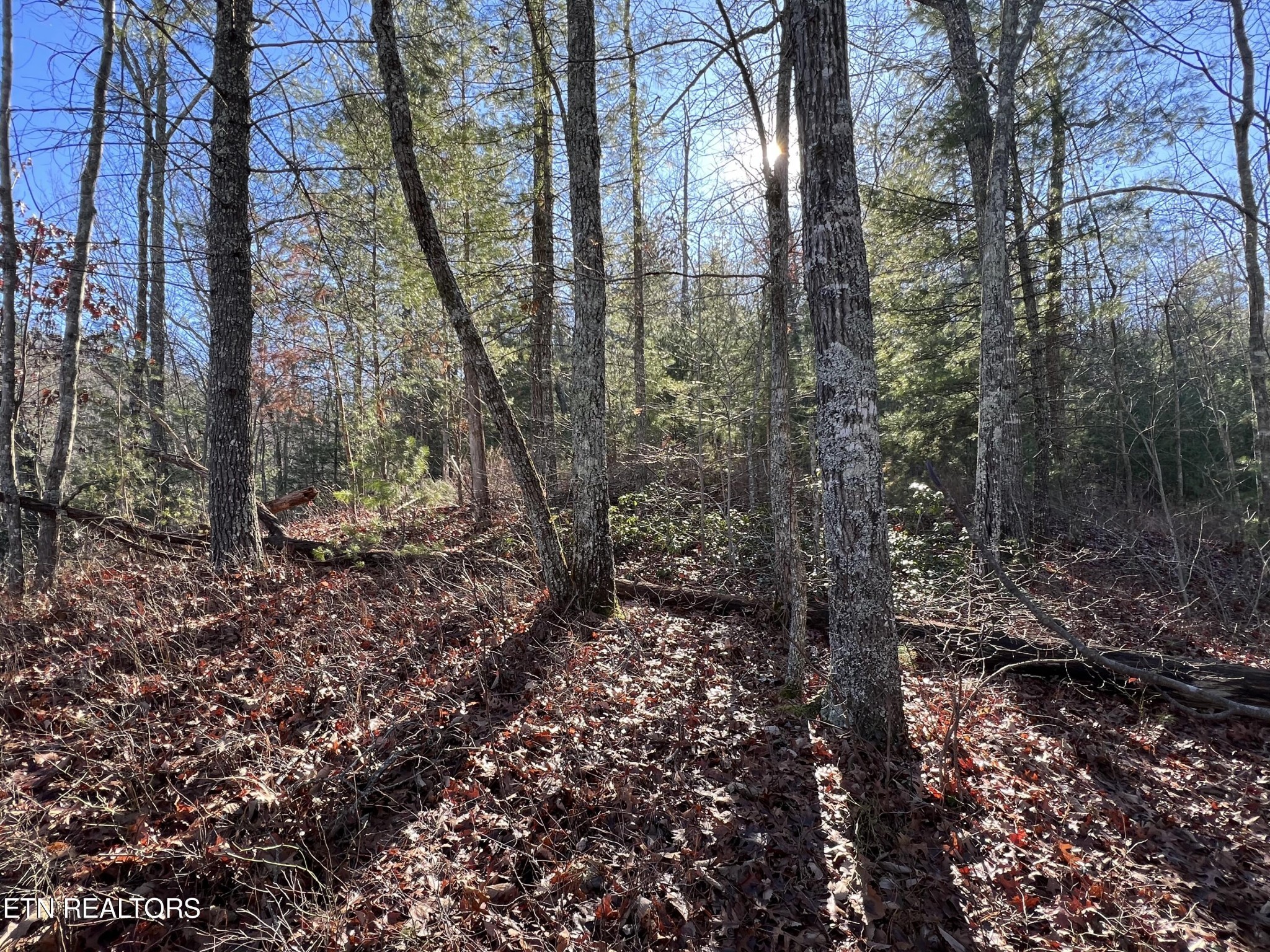 79 Long Rifle Road Walland, TN 37886 - Photo 12 of 17 Gallery Image 12