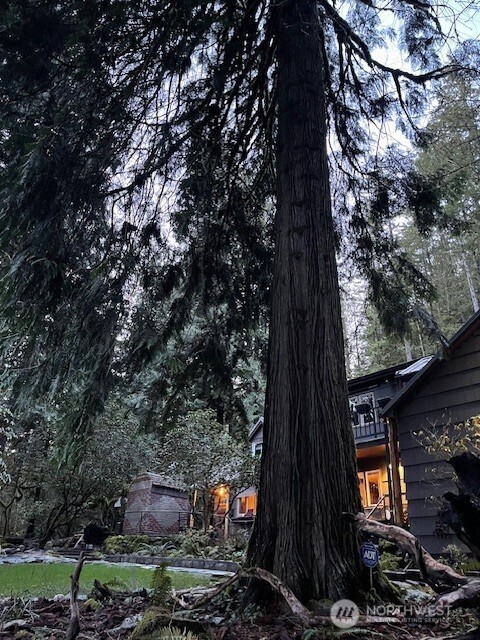 54909 Conrad Road Rockport, WA 98283 - Photo 26 of 40 Gallery Image 26