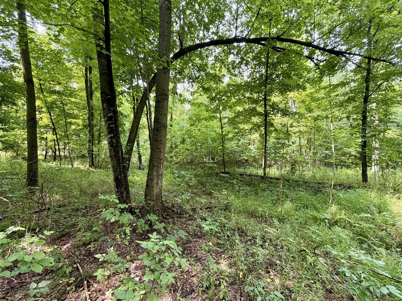 V/l Banfield Road Delton, MI 49046 - Photo 47 of 61 Gallery Image 47