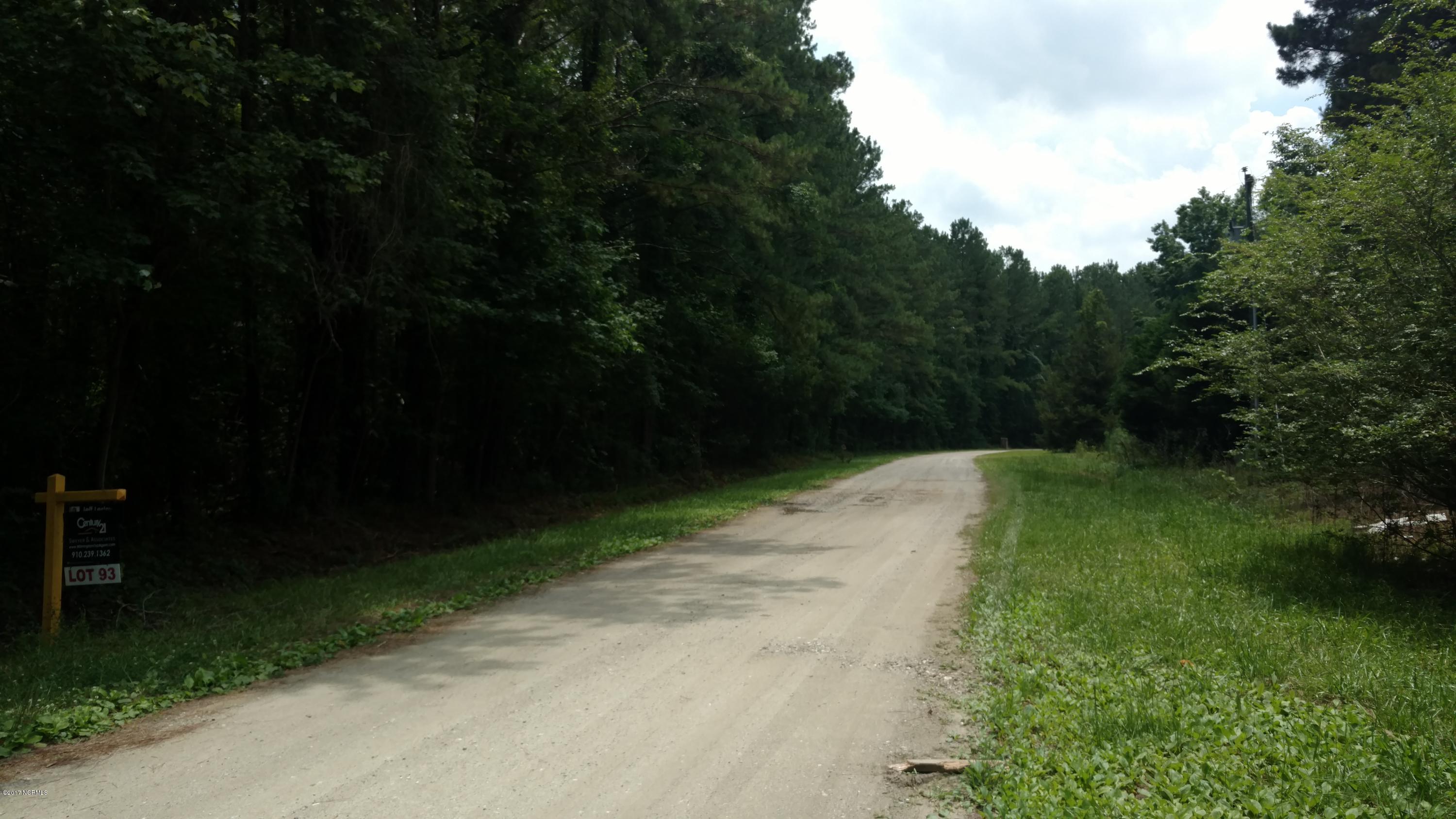 Lot 47 Pond Road Rocky Point, NC 28457 - Photo 4 of 28 IMG_20170615_134449360