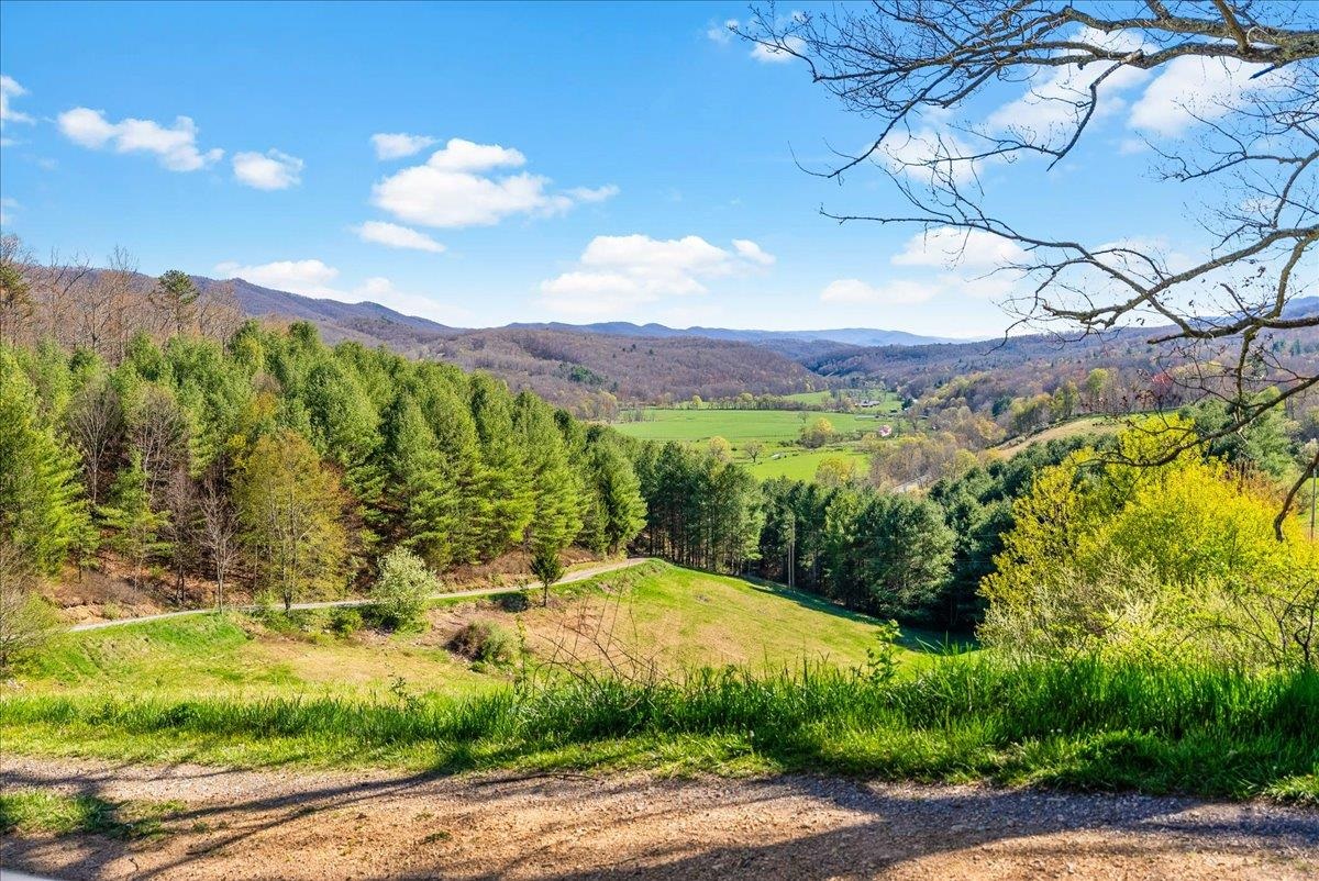3758 Jackson River Road Monterey, VA 24465 - Photo 54 of 63 Gallery Image 54