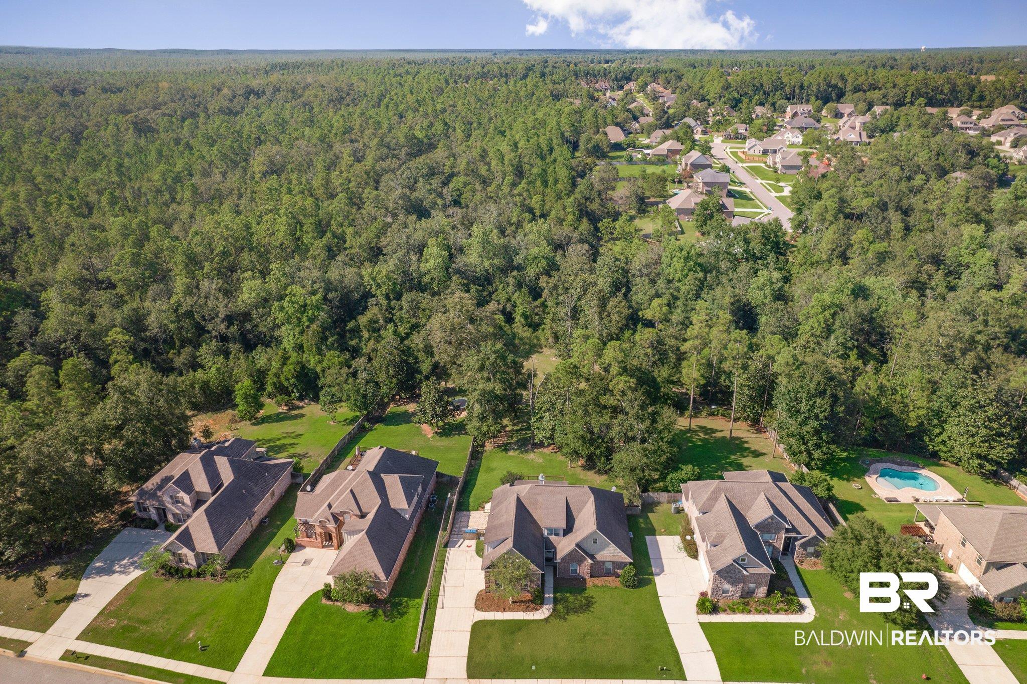 31731 Wildflower Trail Daphne, AL 36527 - Photo 47 of 51