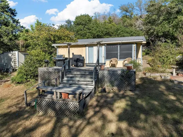 a view of a garden with plants and a bench