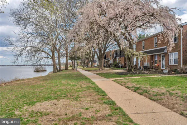 a view of yard with tree s