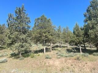 0 Murrelet Road, Unit LOT 1185 Klamath Falls, OR 97601 - Photo 2 of 11 1185 1
