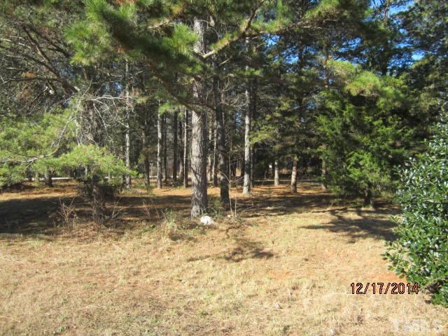 8614 Robert Morgan Road Bullock, NC 27507 - Photo 17 of 19 Gallery Image 17