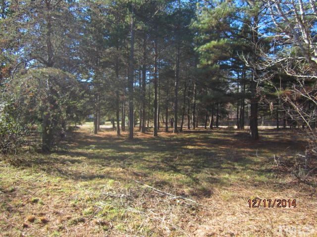 8614 Robert Morgan Road Bullock, NC 27507 - Photo 19 of 19 Gallery Image 19
