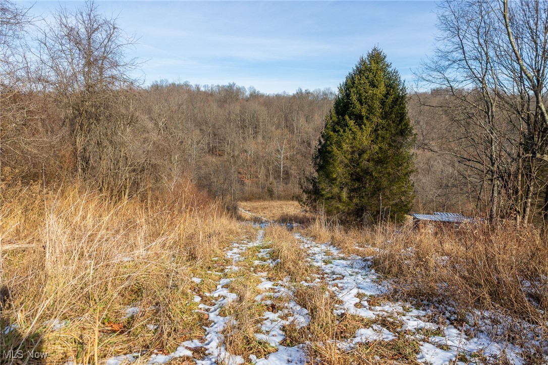 377 State Route Malta, OH 43758 - Photo 16 of 36 Snowy view with a wooded view
