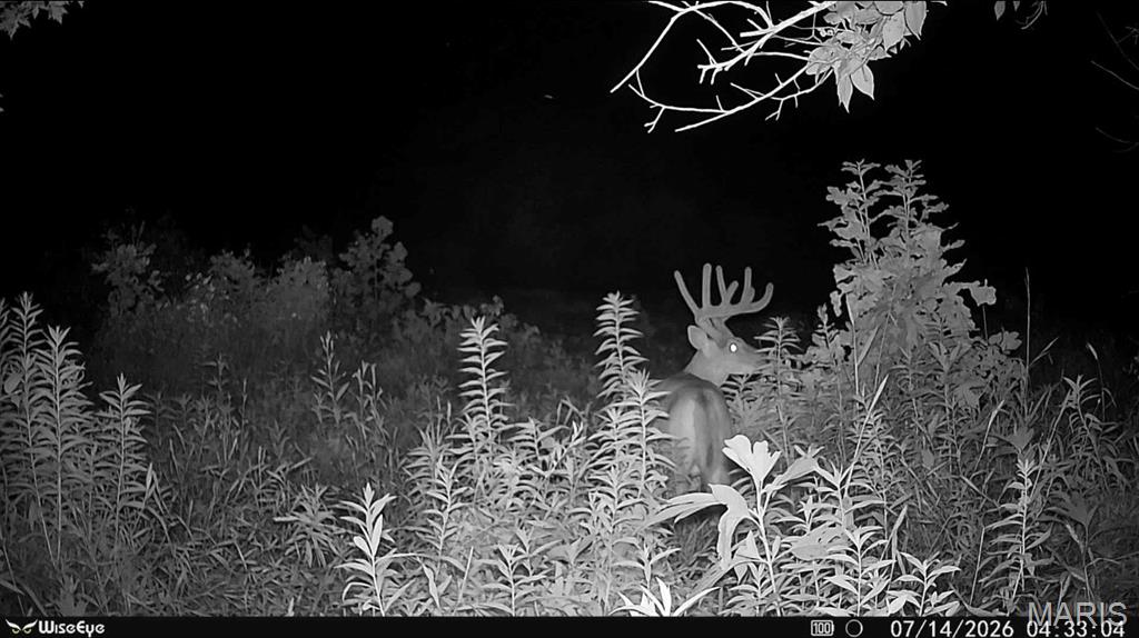 1 Landmark Road Iuka, IL 62849 - Photo 30 of 40 Gallery Image 30