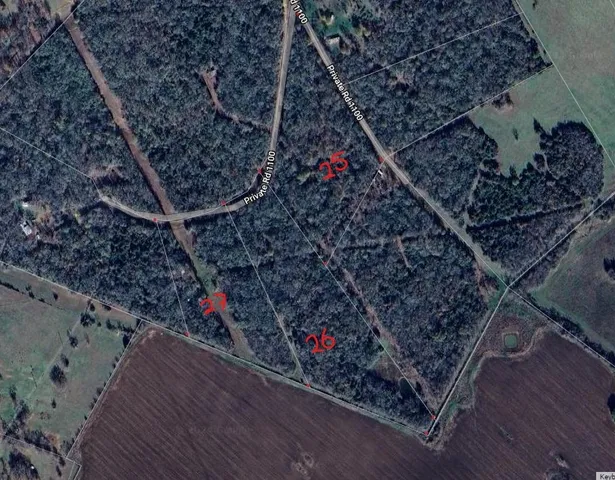 an aerial view of a swimming pool