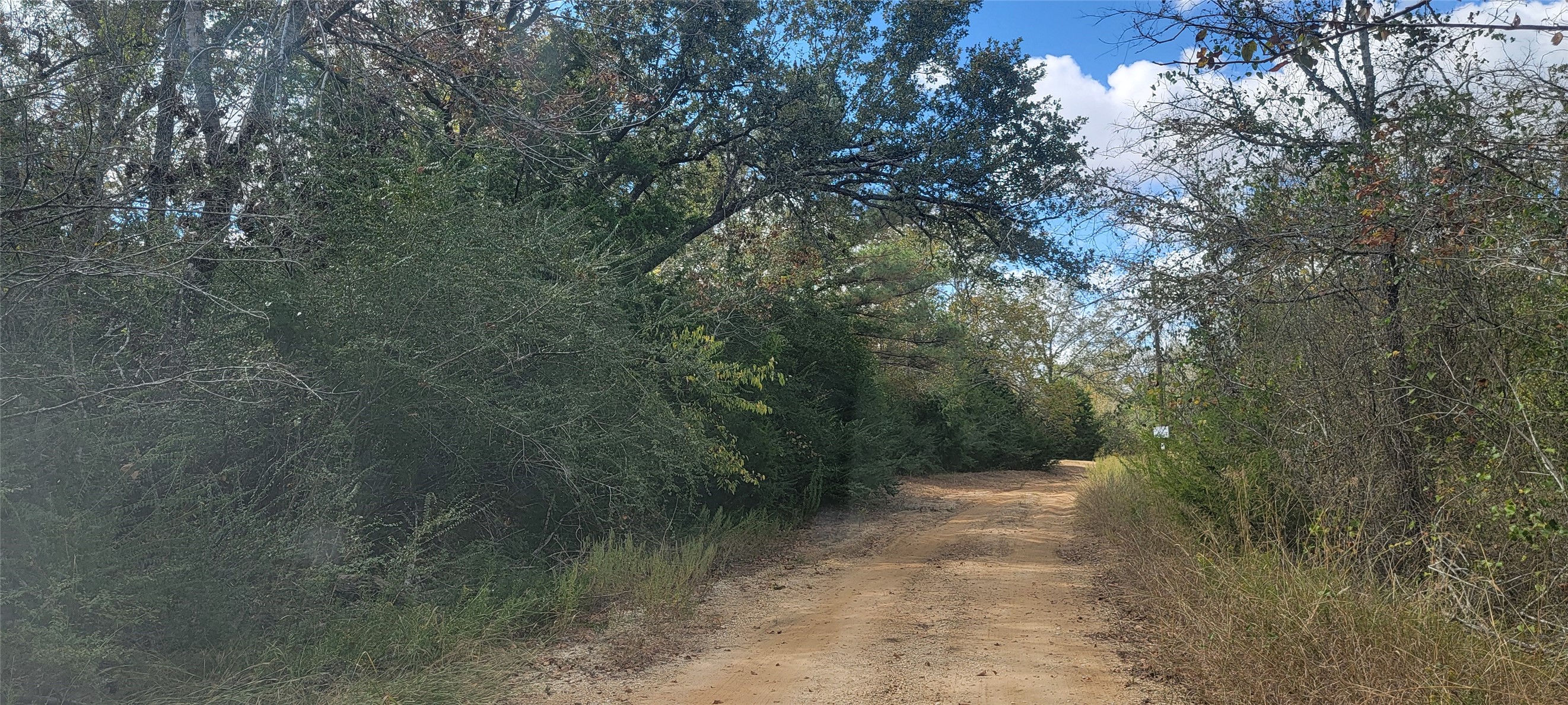 1100 Rd Leona Tx 75850 Road Leona, TX 75850 - Photo 2 of 12 a view of a yard