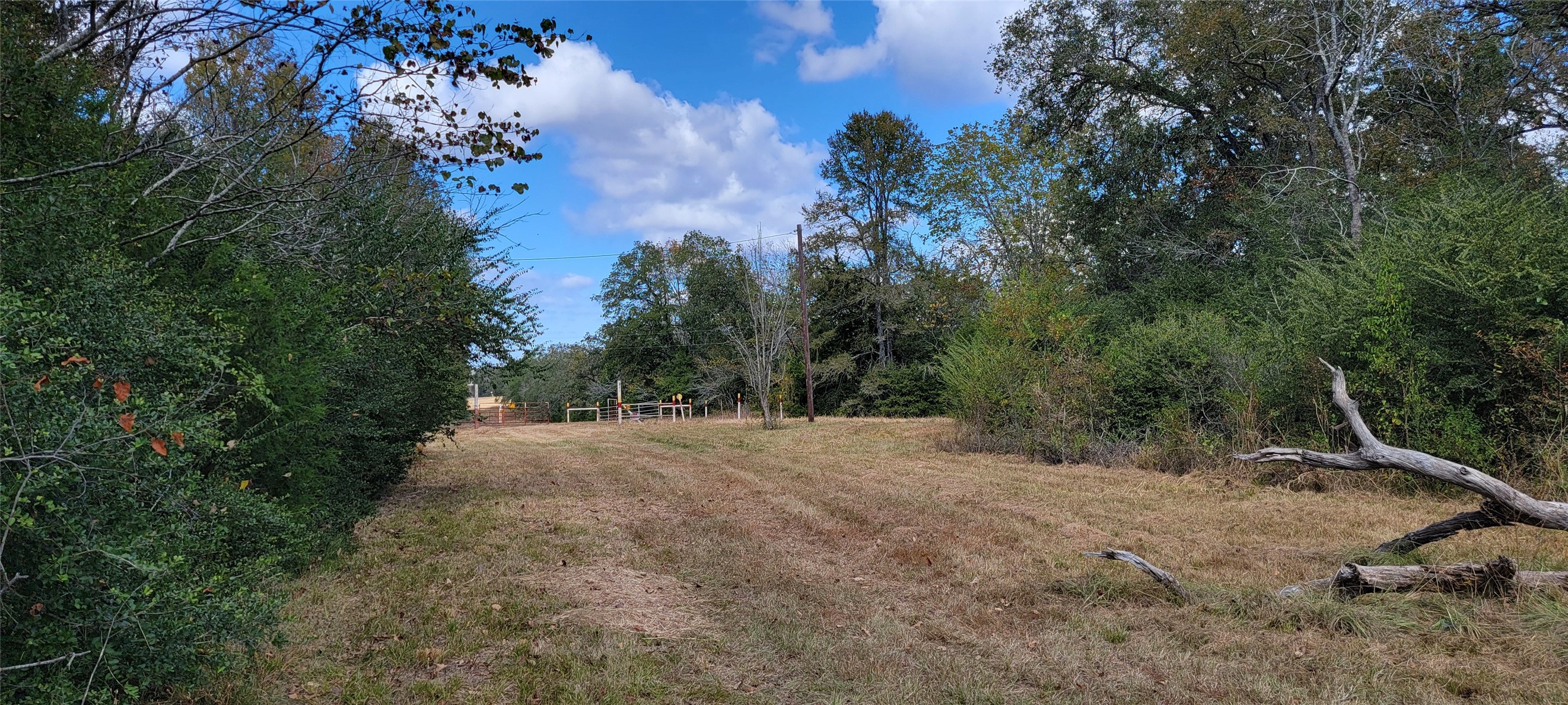 1100 Rd Leona Tx 75850 Road Leona, TX 75850 - Photo 10 of 12 a view of dirt yard with a tree