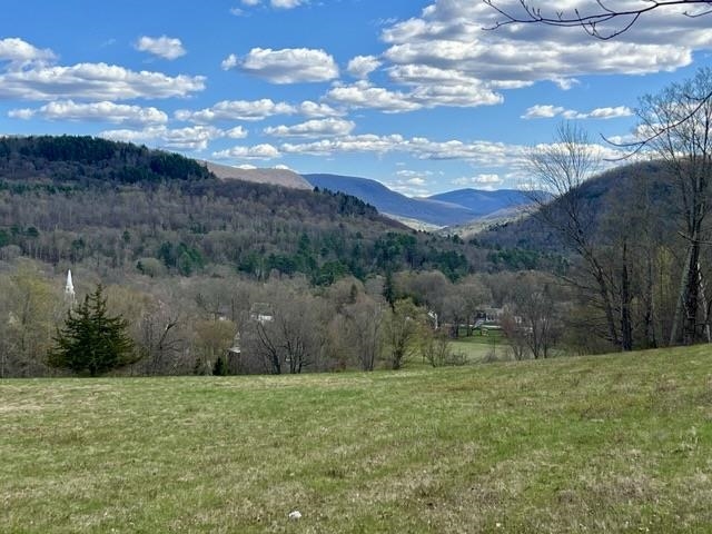 0 Spruce Knob Road, Unit LOT 2 Middletown Springs, VT 05757 - Photo 3 of 7