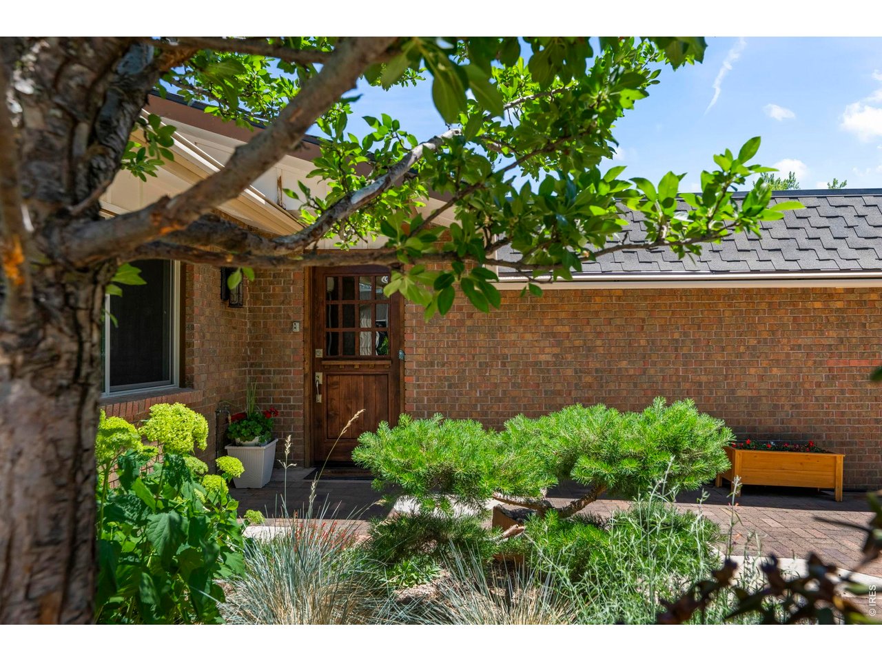 4824 Briar Ridge Court Boulder, CO 80301 - Photo 35 of 40 a view of a garden with plants
