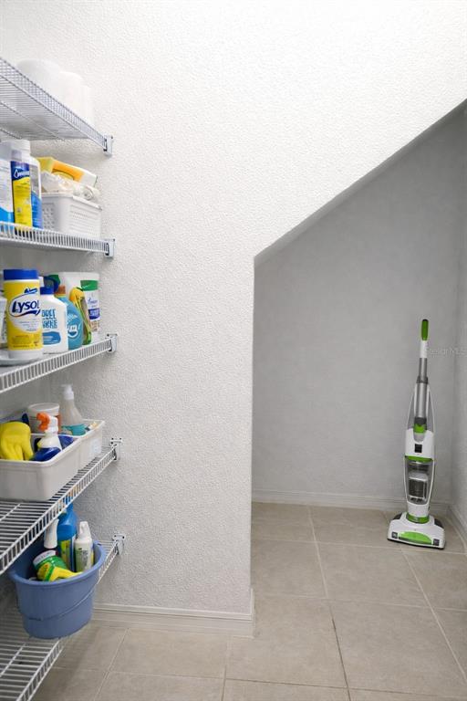 8913 Matriarca Alley Windermere, FL 34786 - Photo 10 of 30