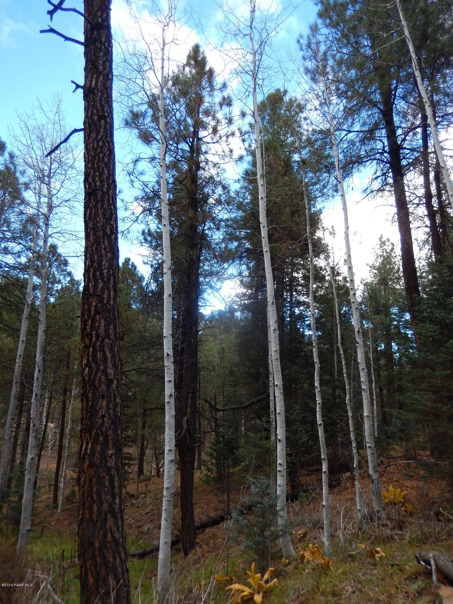 -off South Comstock Mine Road Prescott, AZ 86303 - Photo 6 of 7 Lots Of Aspens