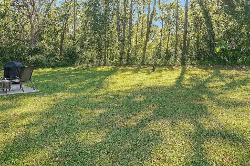 6188 East Seneca Street Inverness, FL 34452 - Photo 24 of 25