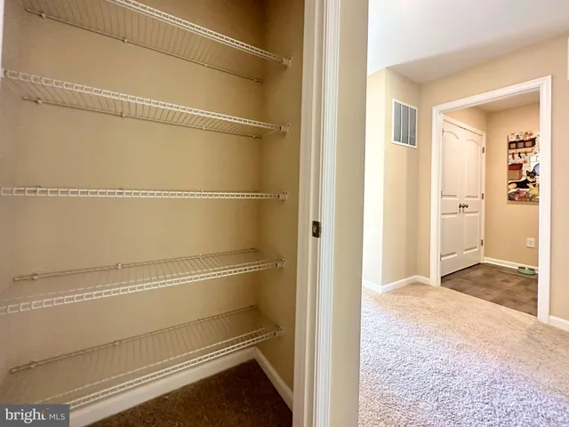 a view of walk in closet with empty racks