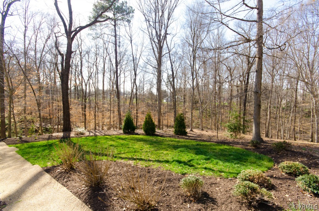 4200 Reeds Landing Circle Midlothian, VA 23113 - Photo 24 of 24 a green field with lots of trees