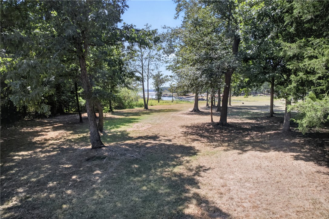 1504 Double Springs Road Townville, SC 29689 - Photo 47 of 49 Mature trees shade a gentle slope leading down to the water.