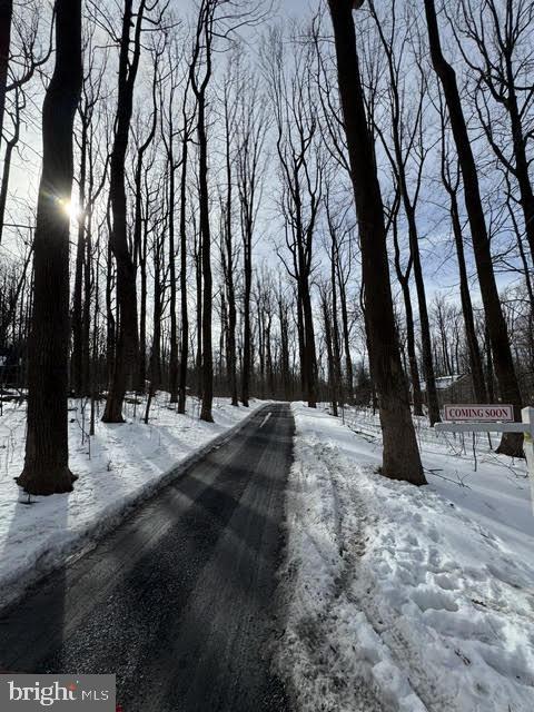 267 Buck Road Linden, VA 22642 - Photo 11 of 37 a view of outdoor space with trees