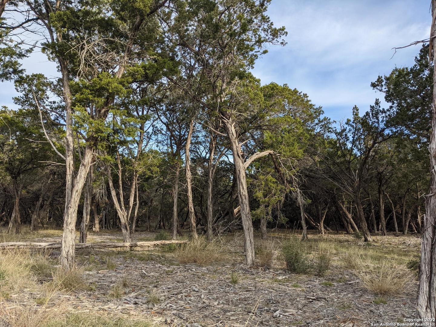 Lot 52 Clearwater Canyon Road Bandera, TX 78003 - Photo 11 of 19 a backyard of a house with lots of green space