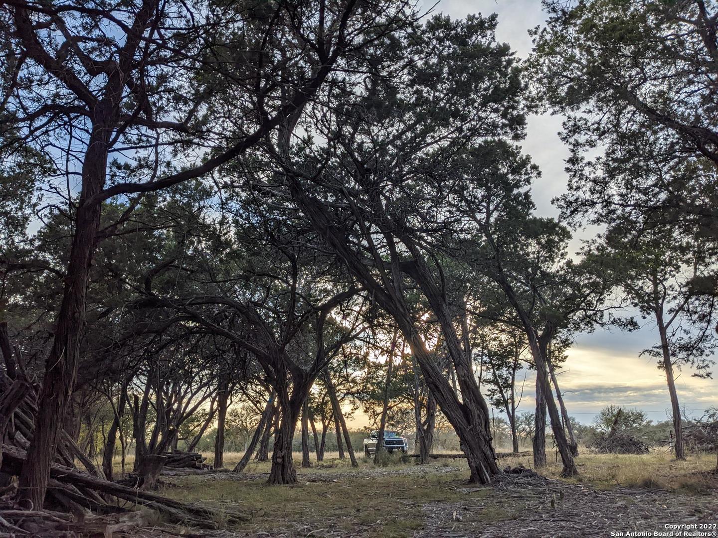 Lot 52 Clearwater Canyon Road Bandera, TX 78003 - Photo 13 of 19 a picture of trees