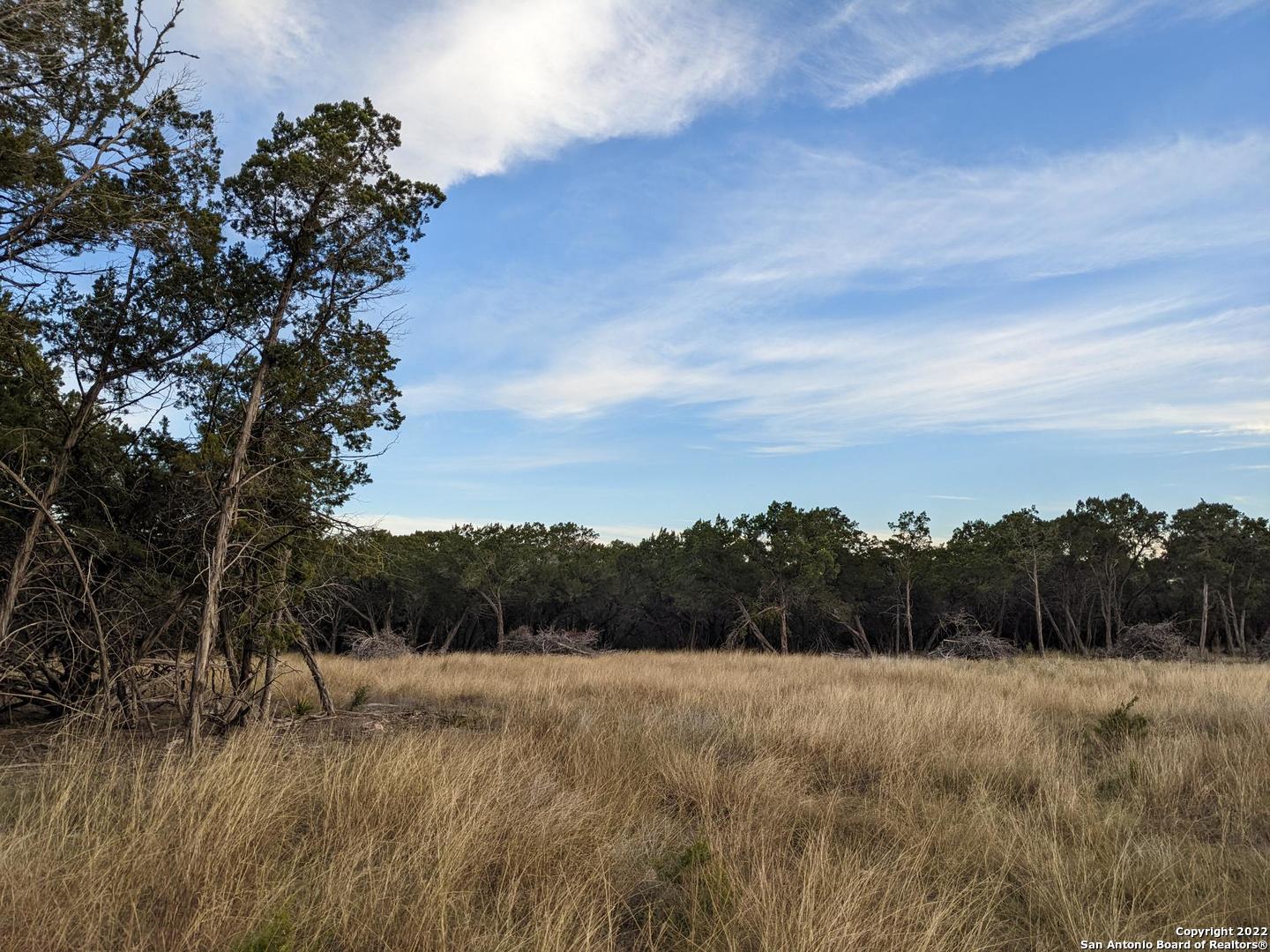 Lot 52 Clearwater Canyon Road Bandera, TX 78003 - Photo 14 of 19 a view of a dry yard with trees