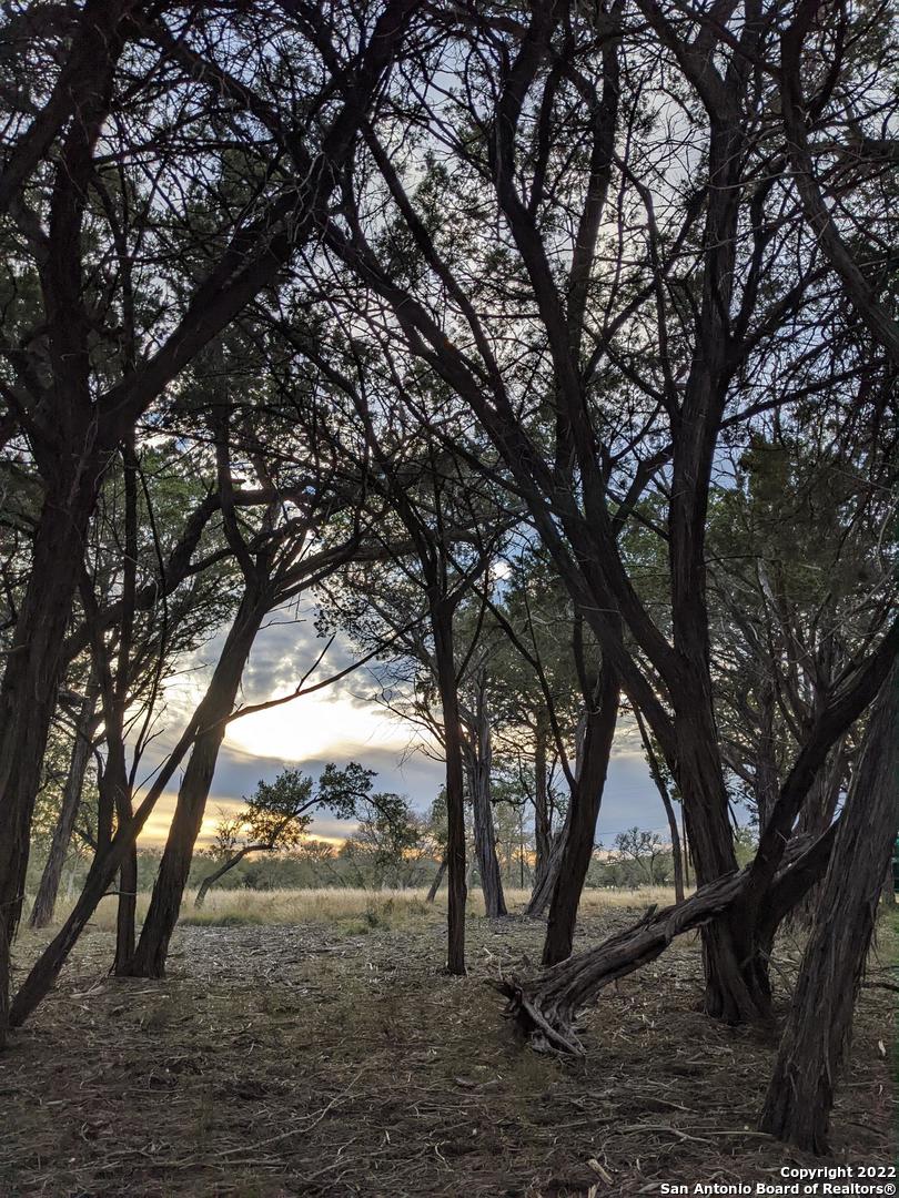 Lot 52 Clearwater Canyon Road Bandera, TX 78003 - Photo 2 of 19 a view of outdoor space and yard