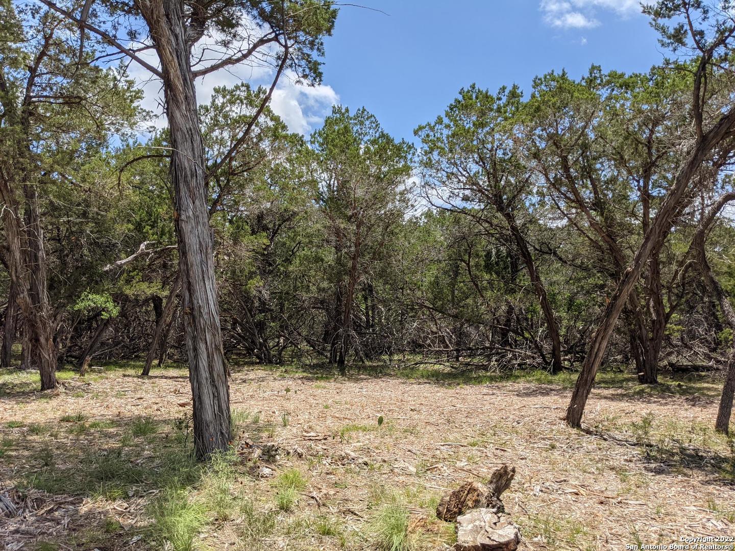 Lot 52 Clearwater Canyon Road Bandera, TX 78003 - Photo 4 of 19 a view of a snow in the yard