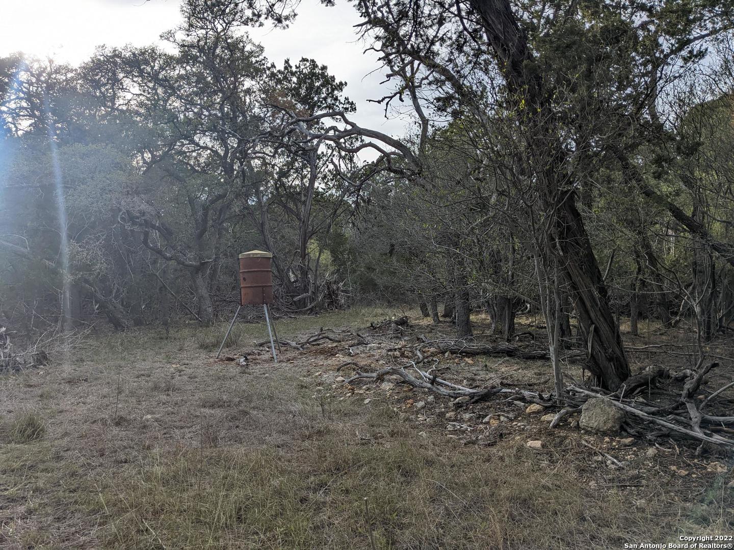 Lot 52 Clearwater Canyon Road Bandera, TX 78003 - Photo 9 of 19 a backyard of a house with lots of green space
