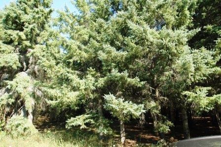 Lot 43 Gibraltar Road Fish Creek, WI 54212 - Photo 8 of 18
