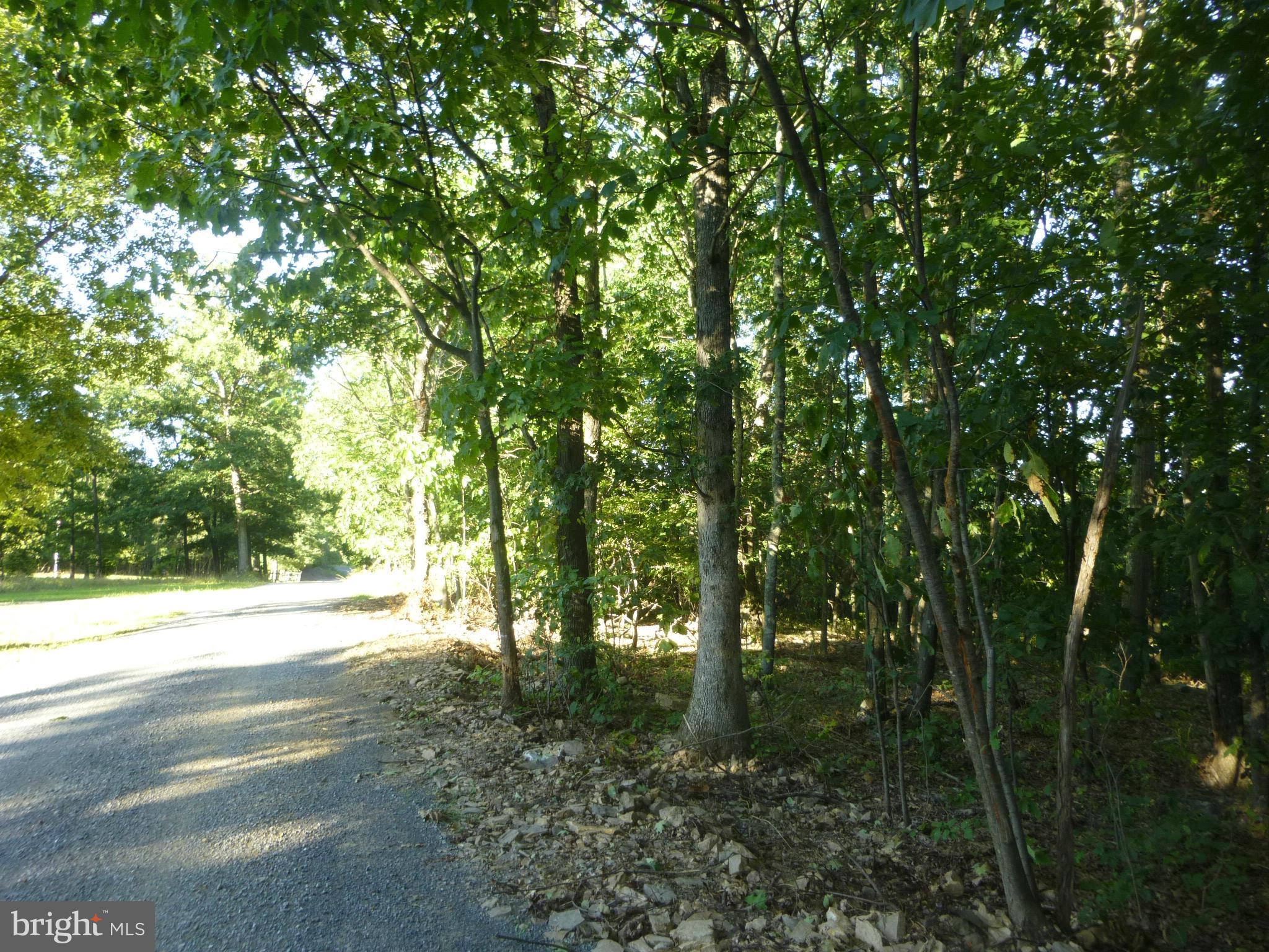 42 Redland Road Cross Junction, VA 22625 - Photo 1 of 10 Exterior (General)