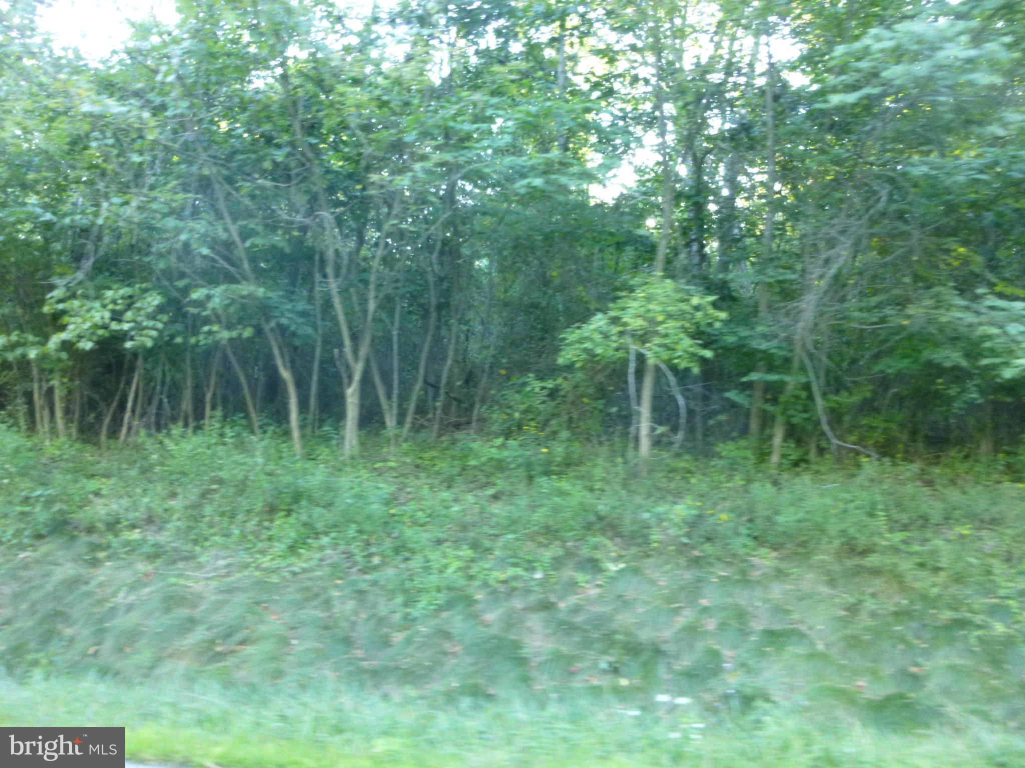42 Redland Road Cross Junction, VA 22625 - Photo 4 of 10 View
