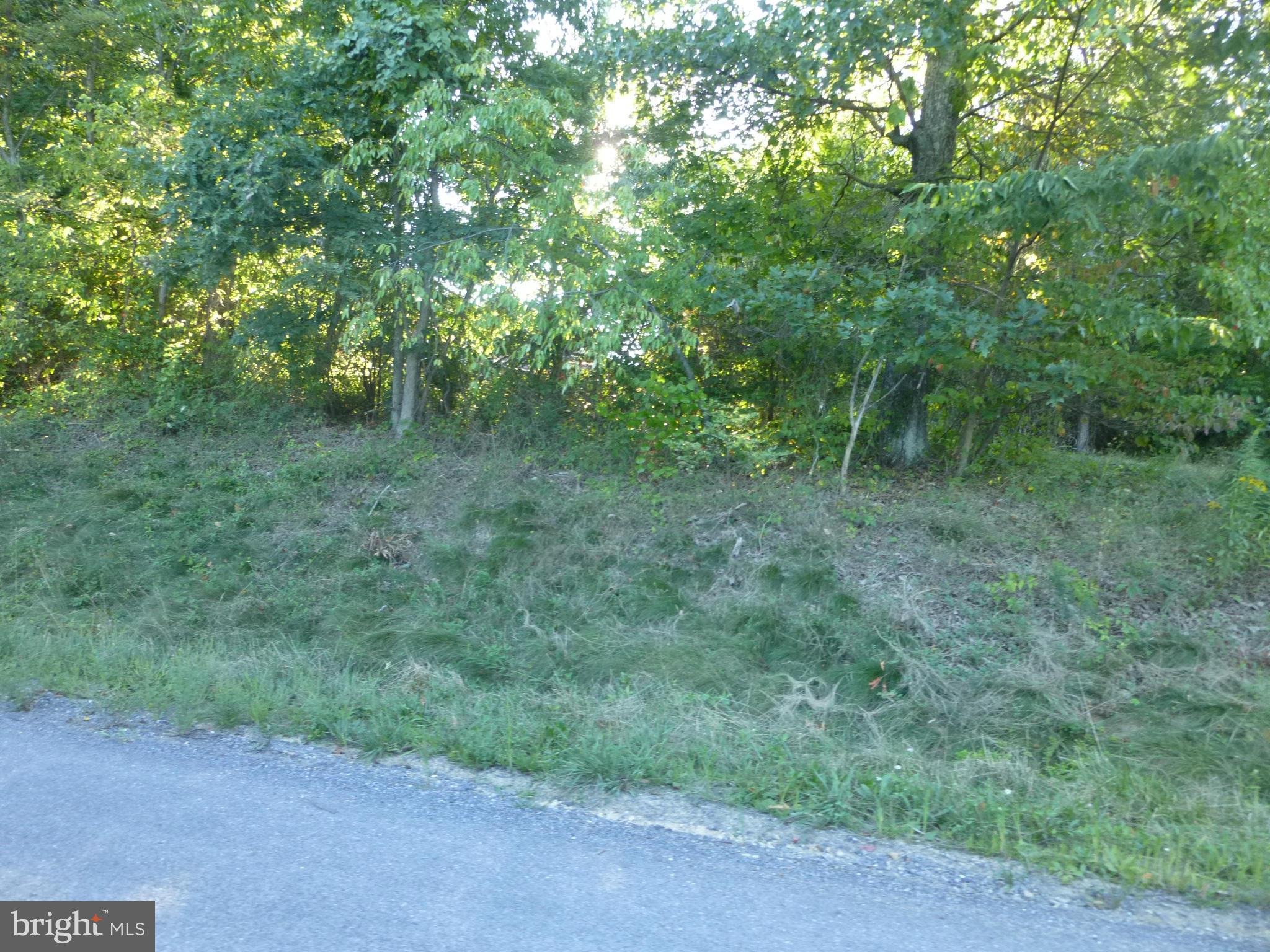 42 Redland Road Cross Junction, VA 22625 - Photo 8 of 10 Exterior (General)