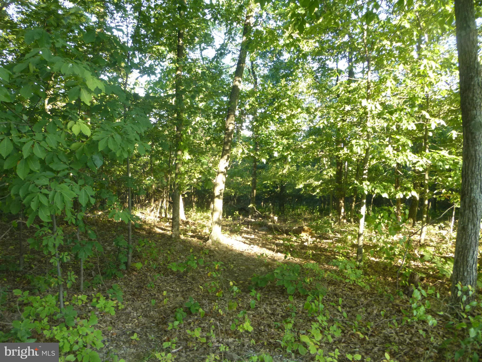 42 Redland Road Cross Junction, VA 22625 - Photo 10 of 10 Exterior (General)