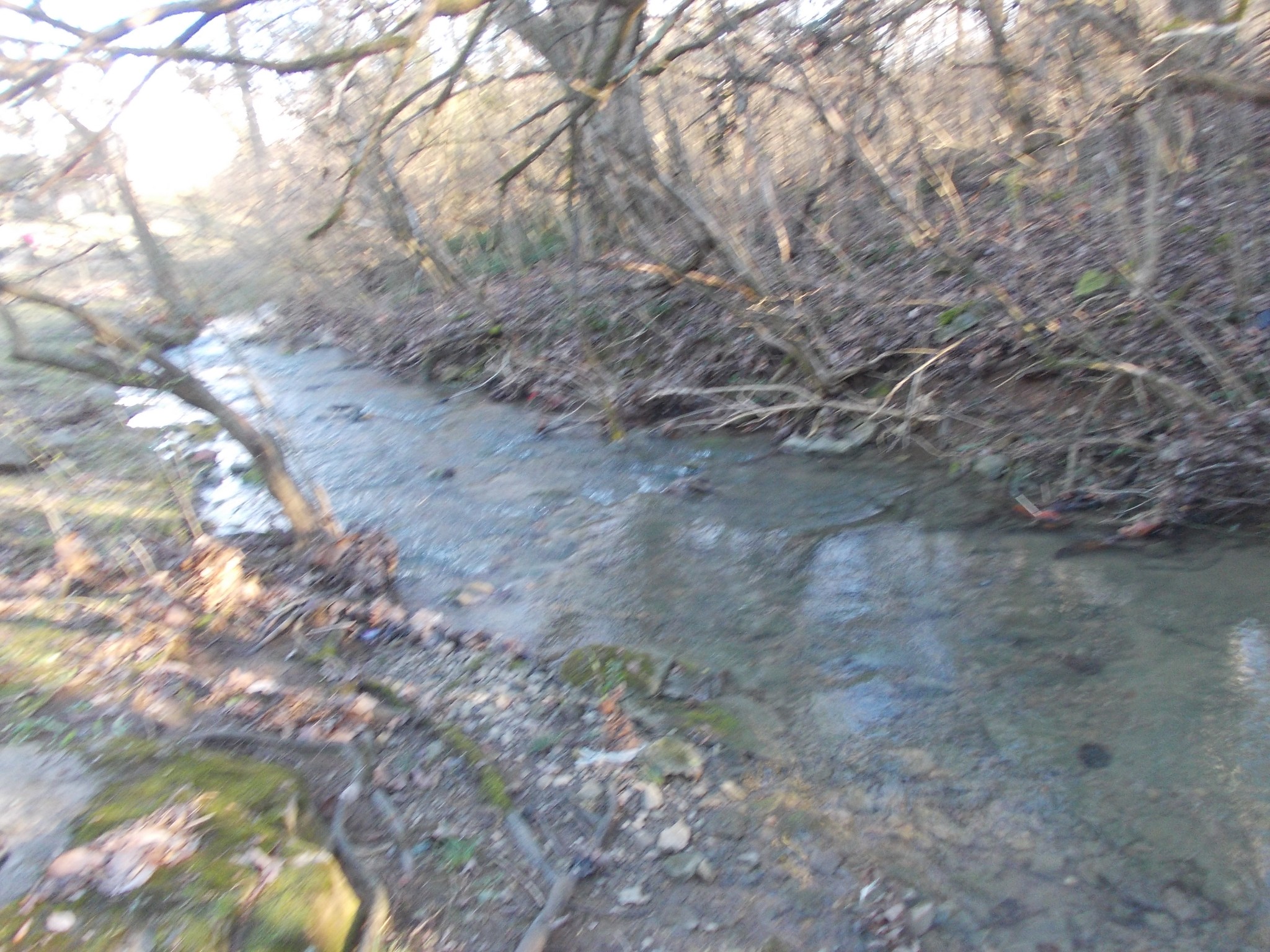 1508 Beaus Way Madison, TN 37115 - Photo 14 of 16 a view of a yard