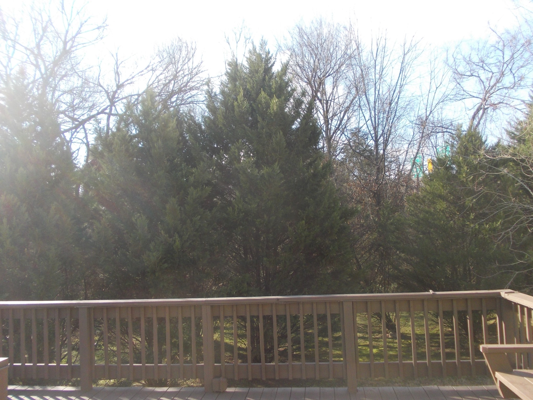 1508 Beaus Way Madison, TN 37115 - Photo 7 of 16