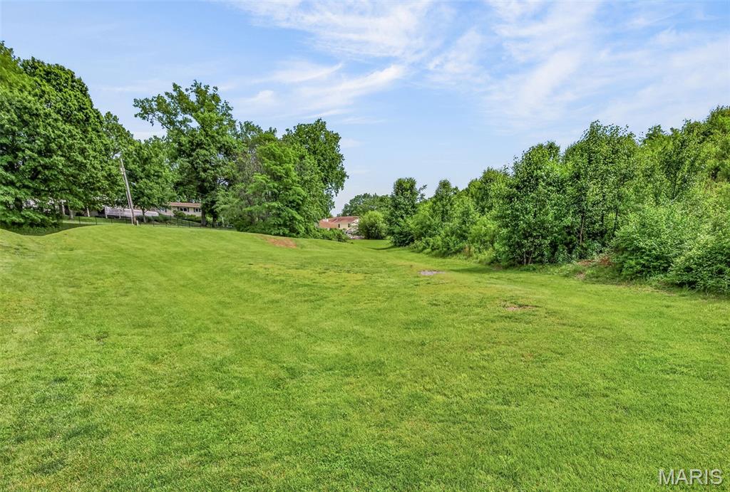 36 Firefly Court Manchester, MO 63021 - Photo 5 of 21