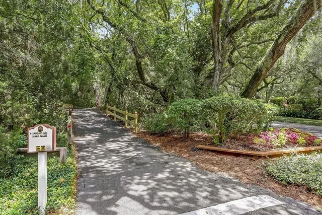 a view of a street with a tree