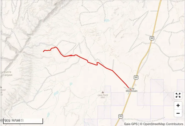 $110,000 | 0 Unnamed Street, Gray Mountain, AZ 86016